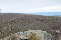 Finding My Next Adventure in Shenandoah National Park