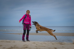 Asia and Bonita, Baltic Sea