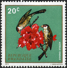 Rwanda 20 centimes Common Waxbills on Hibiscus postage stamp (1972)