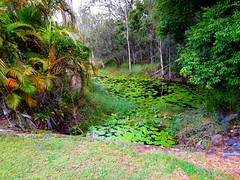 Airport Lagoon