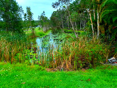 Airport Lagoon