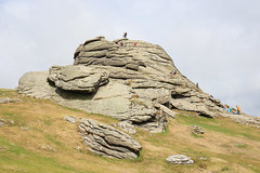 England / Devon - Dartmoor National Park