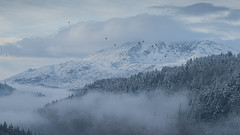 Moel Siabod