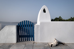 Just a serene Santorini scene. Christine Phillips