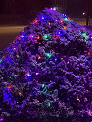 I love Christmas lights showing thru snow.  #Snow #Snowstorm #CTWeather #CTWX #TrumbullCT #Connecticut