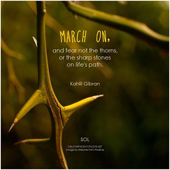 Kahlil Gibran March on, and fear not the thorns, or the sharp stones on life's path.