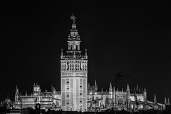 Seville Cathedral