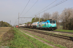 Lineas 186 454 @ Sint-Martens-Voeren