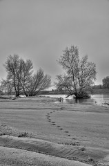 Plage de Loire, in explore jan 21 2025