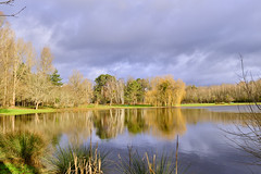 Short break by the pond