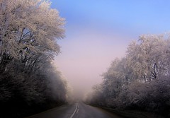 winter road/Explored