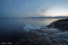 L'acqua che scorre sulle Saline Contivecchi (Cagliari - Assemini)[on Explore January 23, 2024]