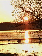 Fiske i solnedgången - Fishing in the sunset