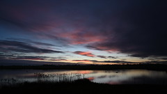 Dawn at Lea Farm Lake - Thursday 23rd January 2025 at 07:39