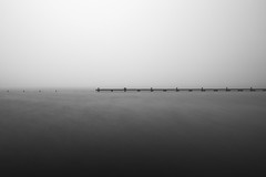 Silent Reflections at the Kralingse Plas