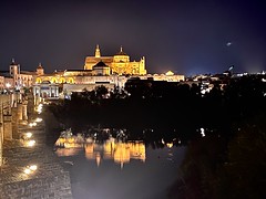 Cathedral of Cordoba night reflection