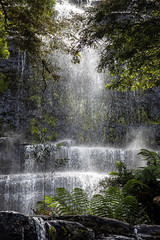 Fern mist