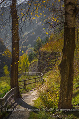 Andorra rural landscape: La Massana, Vall nord, Andorra