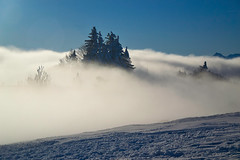 Winter scene, with fog