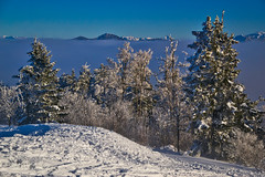 On the Gaisberg above Salzburg, Austria, in winter