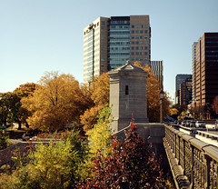 Cambridge in Fall