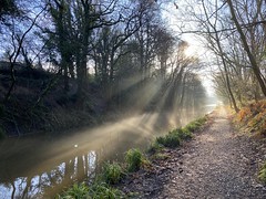 Sunbeams on Macclesfield Canal (Explored 25th January 2025)