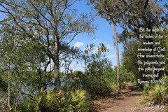 Dutton Island Preserve | Atlantic Beach, Florida