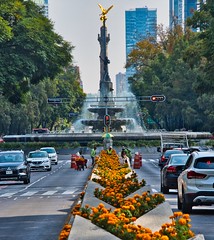 2024 - MEXICO - Mexico City - 40 of - El Ángel de la Independencia