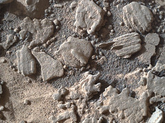 MSL - Sol 4434 - MAHLI - Decorrrelated Color