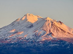 Mt. Shasta