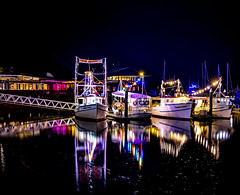 Cairns Harbour at Night