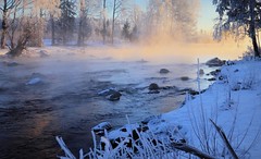 Frosty morning