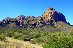 Along Chisos Basin road -  Big Bend National Park, Southwestern Texas