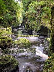 Fairy Glen