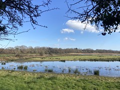 Bowling Green Marsh