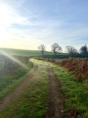 Beautiful early morning 🌅