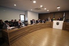 REUNIÃO COMISSÃO DE SEGURANÇA PÚBLICA