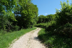 Saint-Martin-de-Bavel