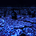 #teamlab borderless TOKYO Azabudai Hills