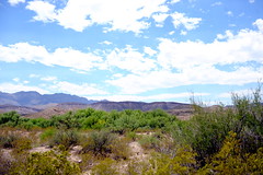 DSC_4544e ~ Big Bend Ranch State Park