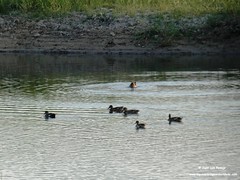 P2040254