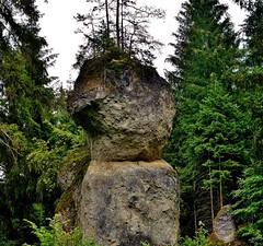 Germany, Wanderung im romantischen Wental, auf der Schwäb. Alb,  Felsformationen ,  23855