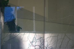 Urban interior + twigs