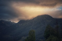 Veil of Light