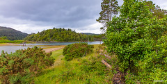 The green peacefulness of Moidart. At low tide the two people and their dog could cross the isthmus to Eilean Tioram and its castle ruin but intertidal they are cut off. Loch Moidart has many islands, small and large, Inverness-shire, Scotland.