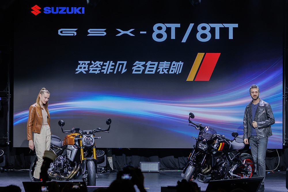 suzuki 251211-8