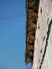 P1170436