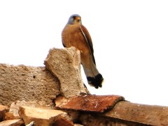 P1190056