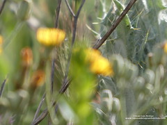 P1200582