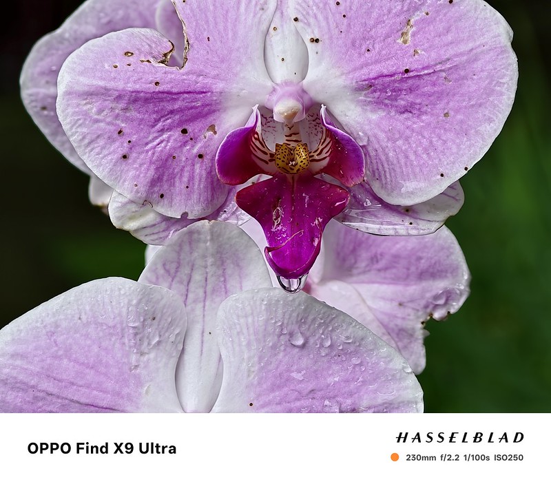 OPPO Find X9 Ultra 動手拍:手機一機到底攝影新標竿 - 電腦王阿達 IMG20260507165845